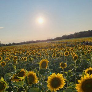 Meet your Posher, So